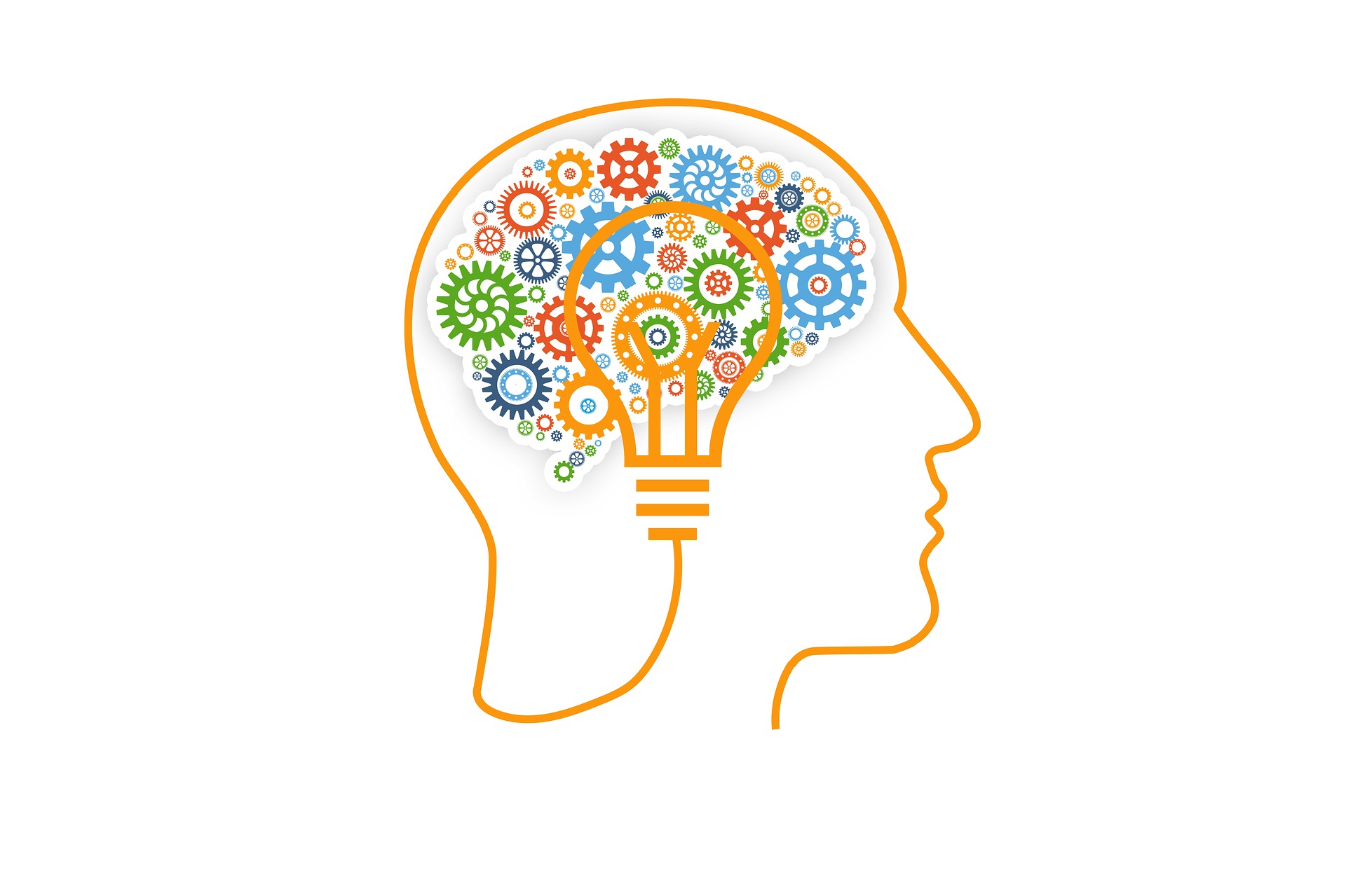 brain 3829057 1920