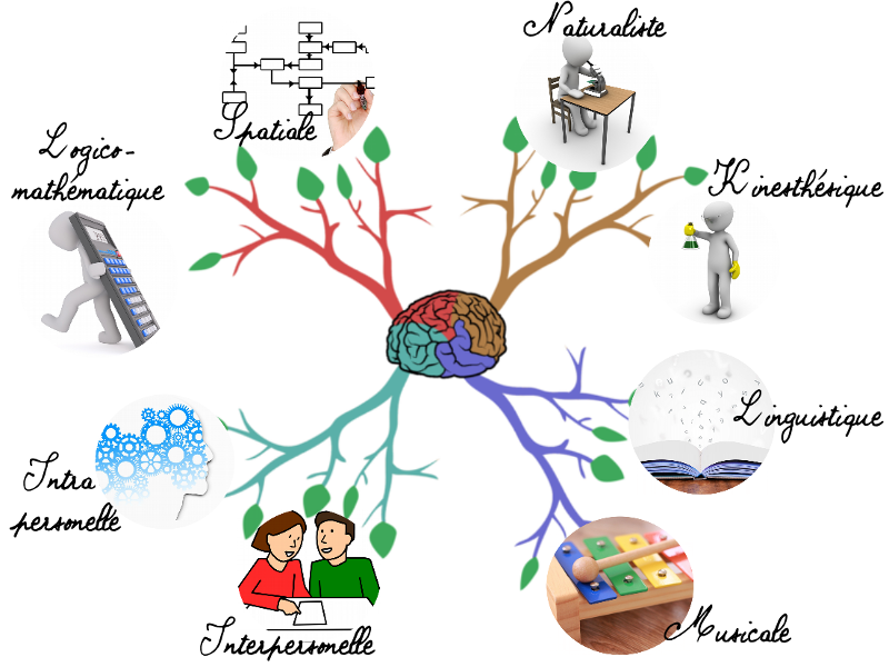 intelligences multiples