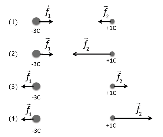 physique 12