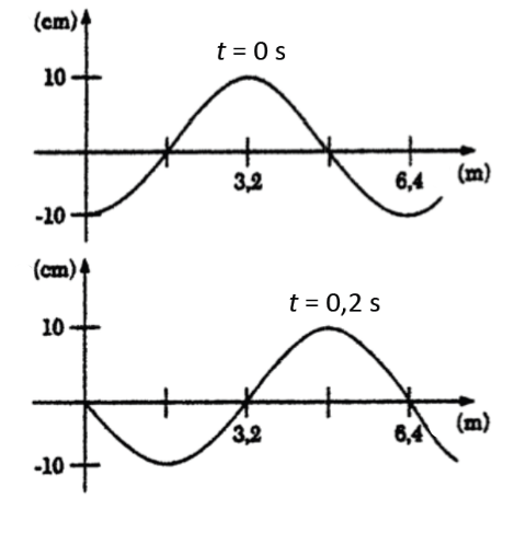 physique 8