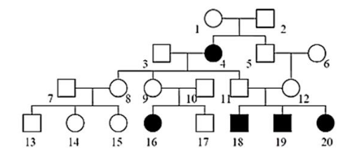 EXMD bio 2019 2