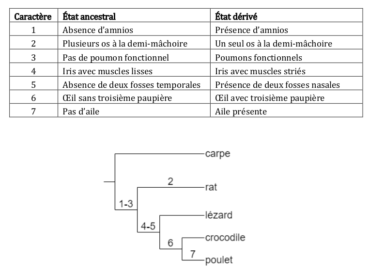 Biologie 2020 3