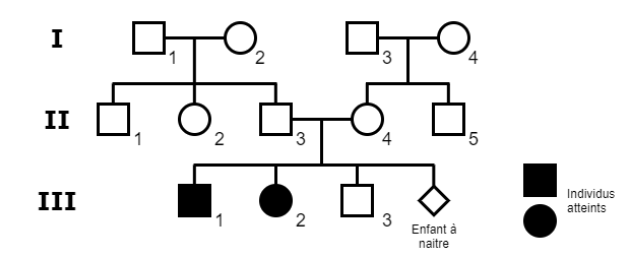 Biologie 2020 6